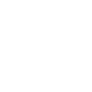 bcf logo 2